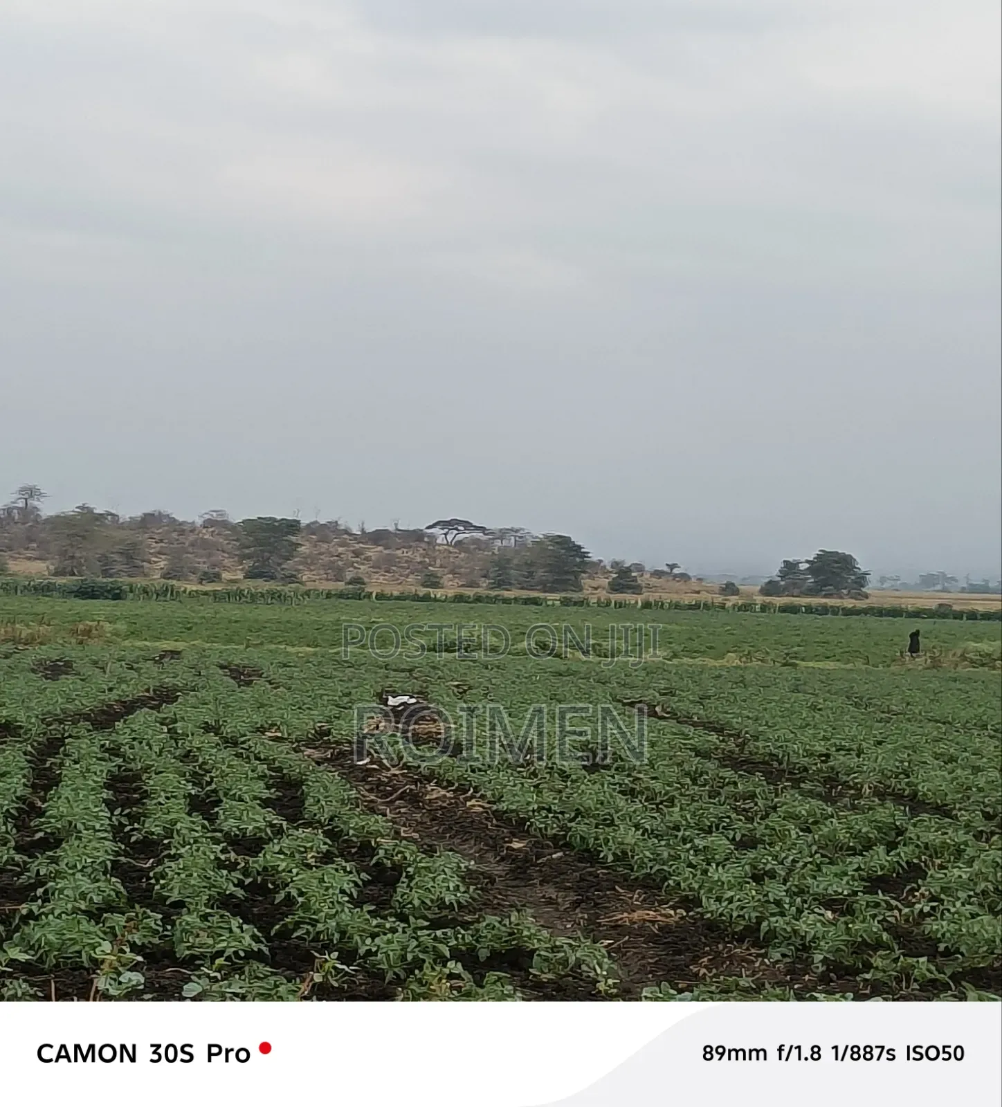 Commercial Land.