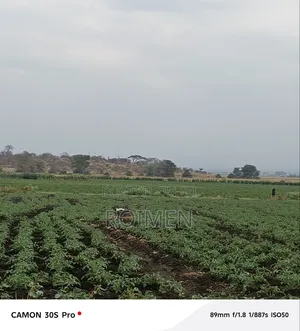 Commercial Land.