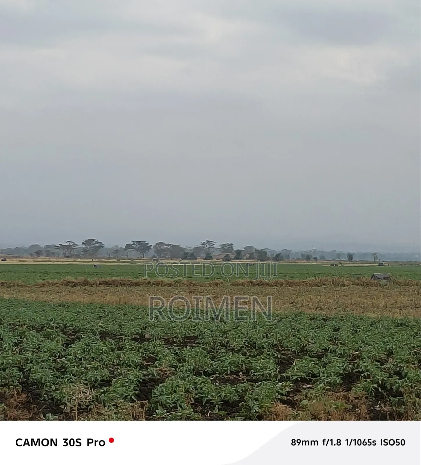 Commercial Land.