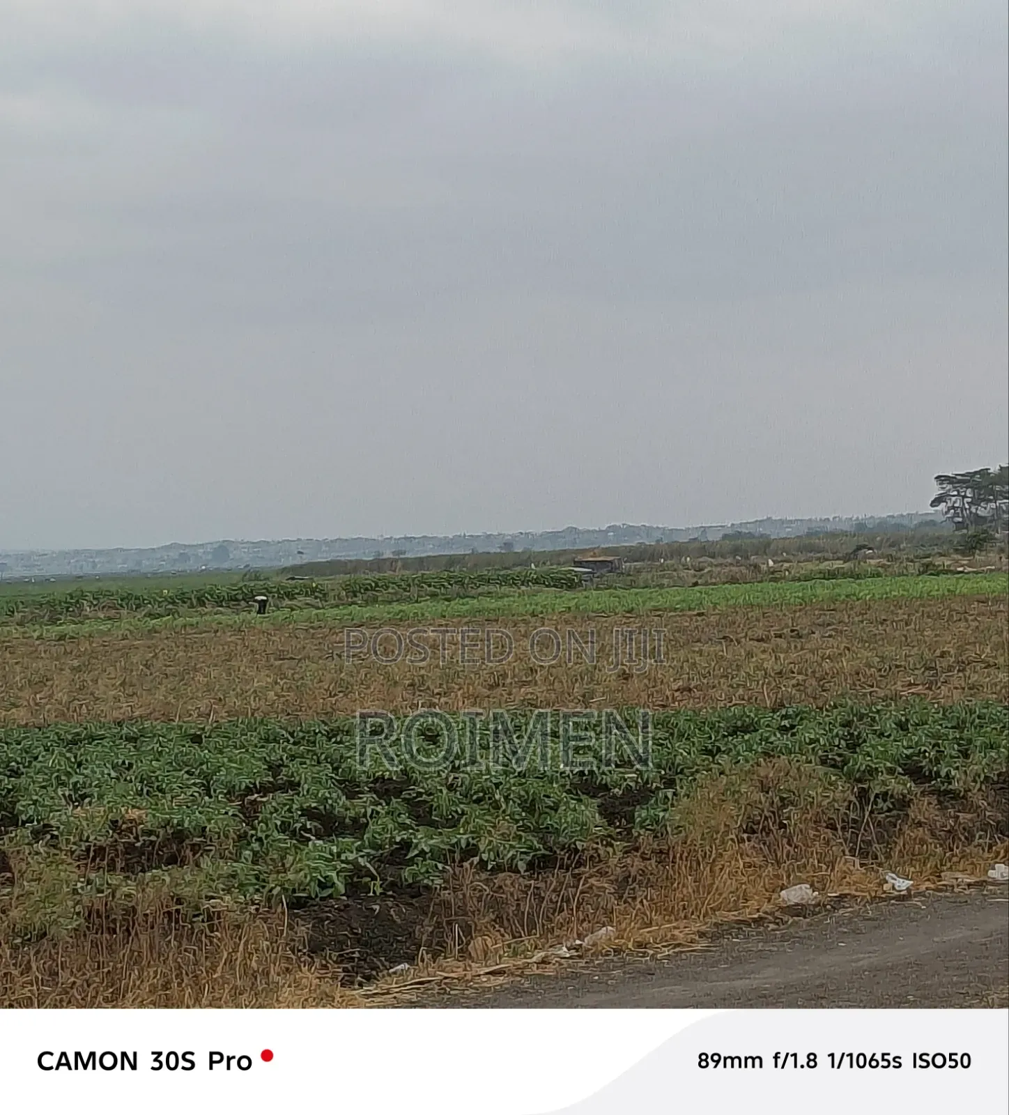 Commercial Land.