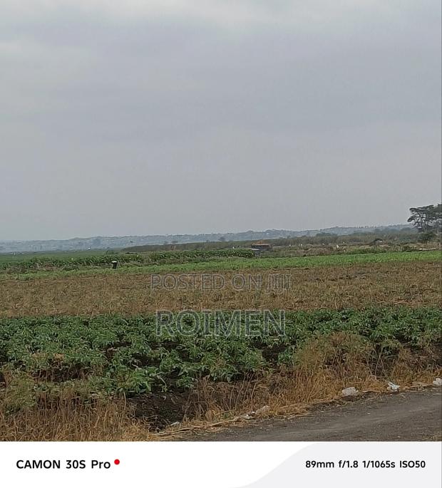 Commercial Land. - thumbnail 7