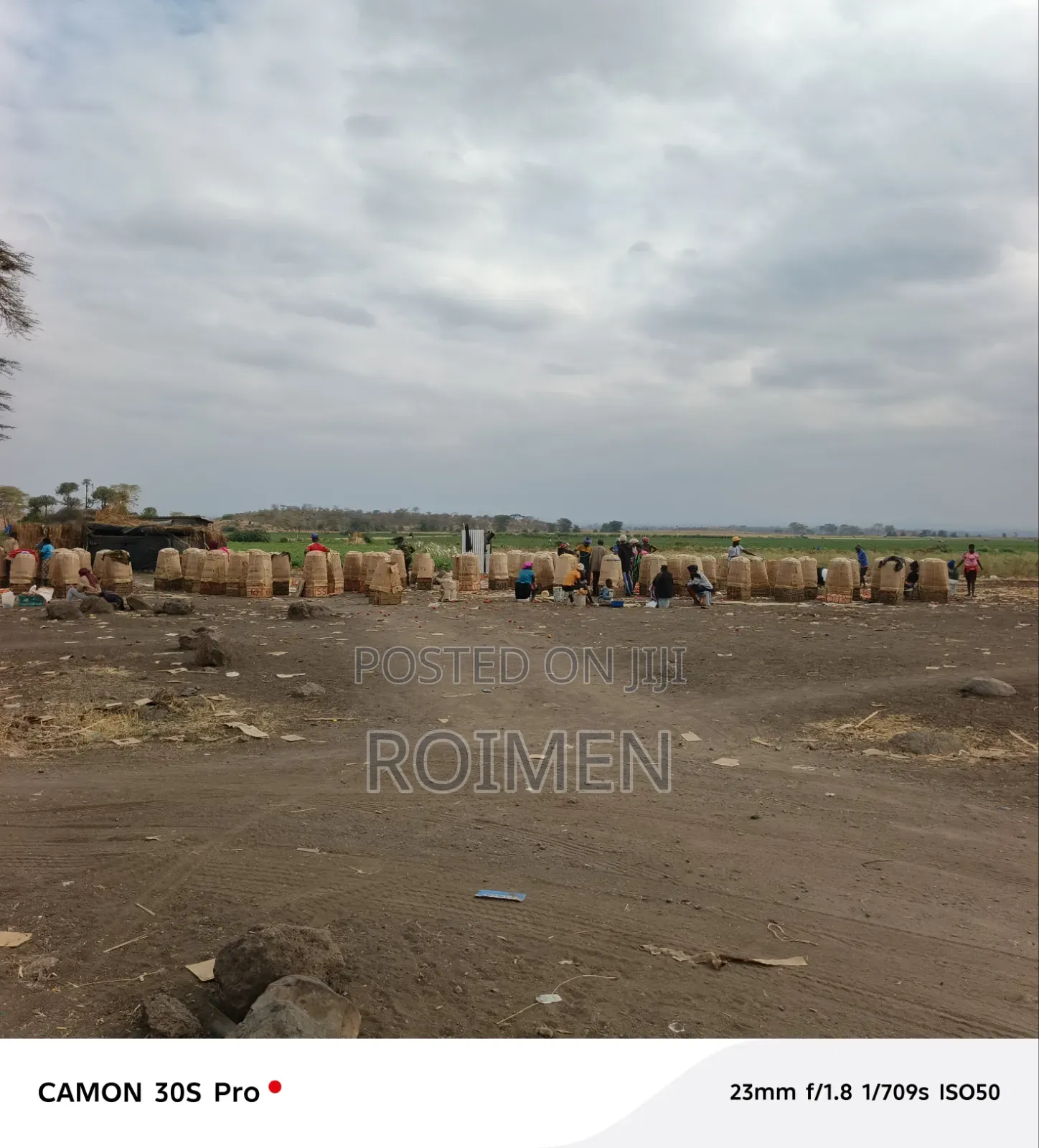 Commercial Land.