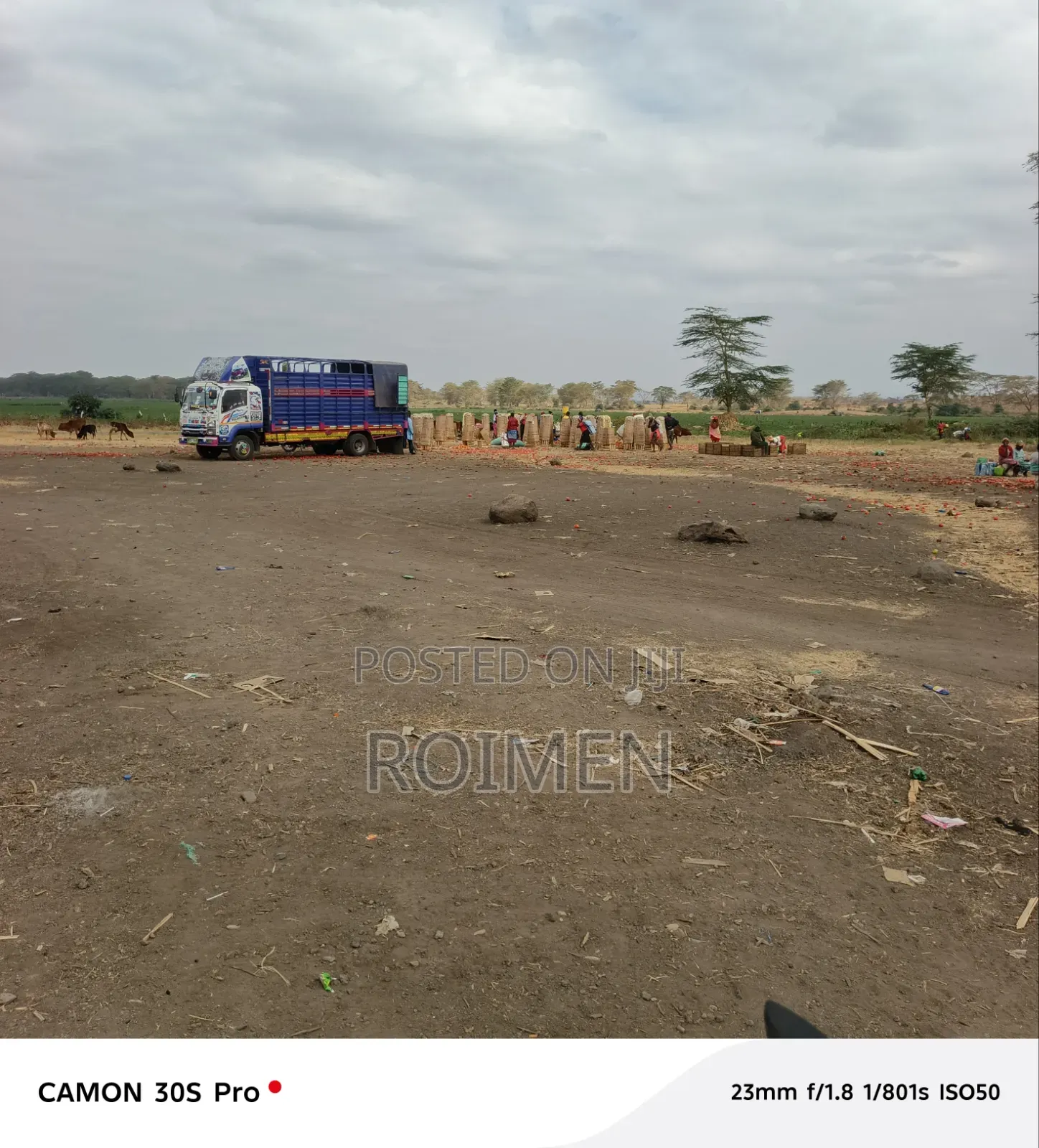 Commercial Land.