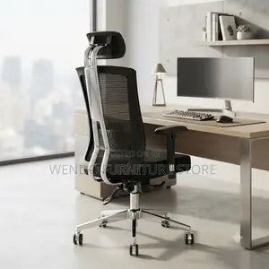 Office Chairs; Orthopedic Fabric Office Chair With Metallic Backrest