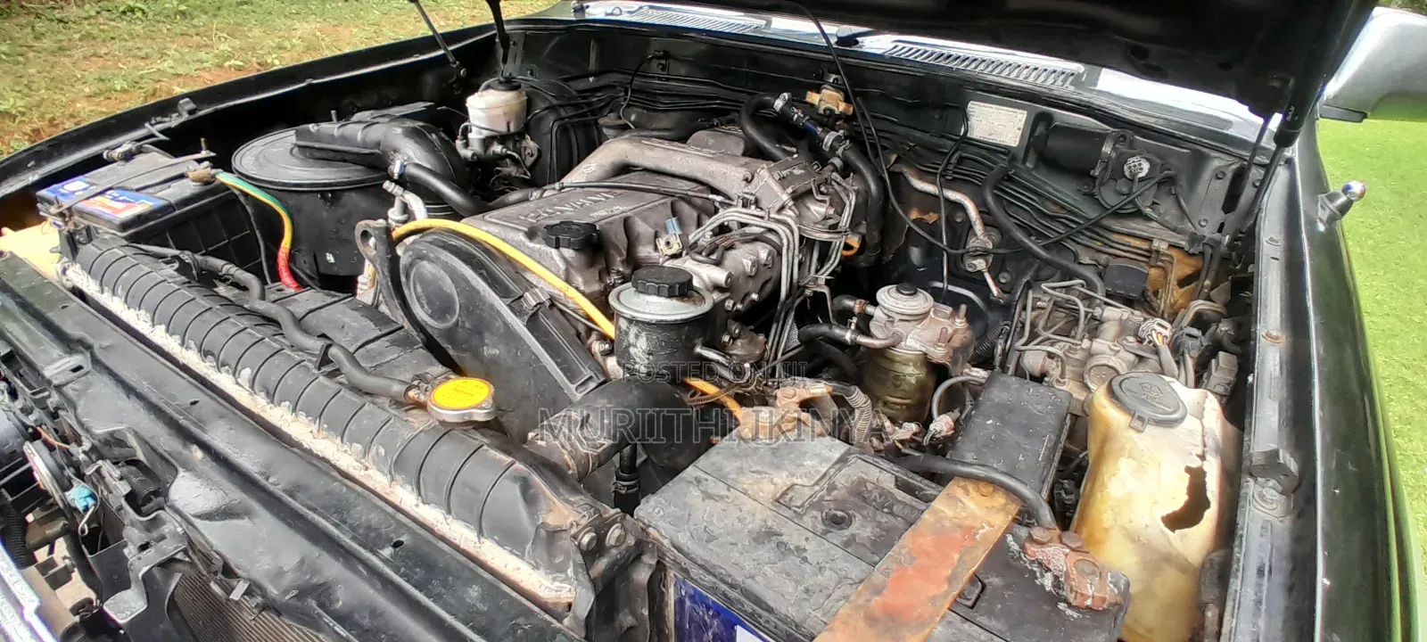 Toyota Land Cruiser 1995 Green