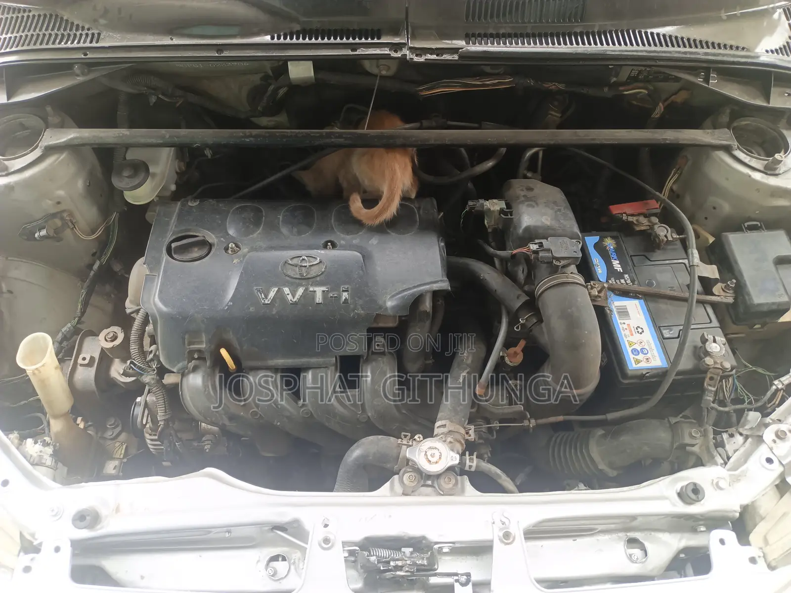 Toyota Succeed 2010 Gray