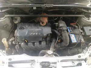 Toyota Succeed 2010 Gray