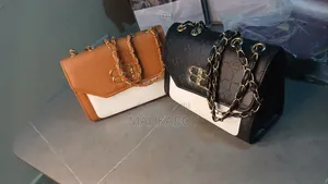 Trendy Handbags for Ladies