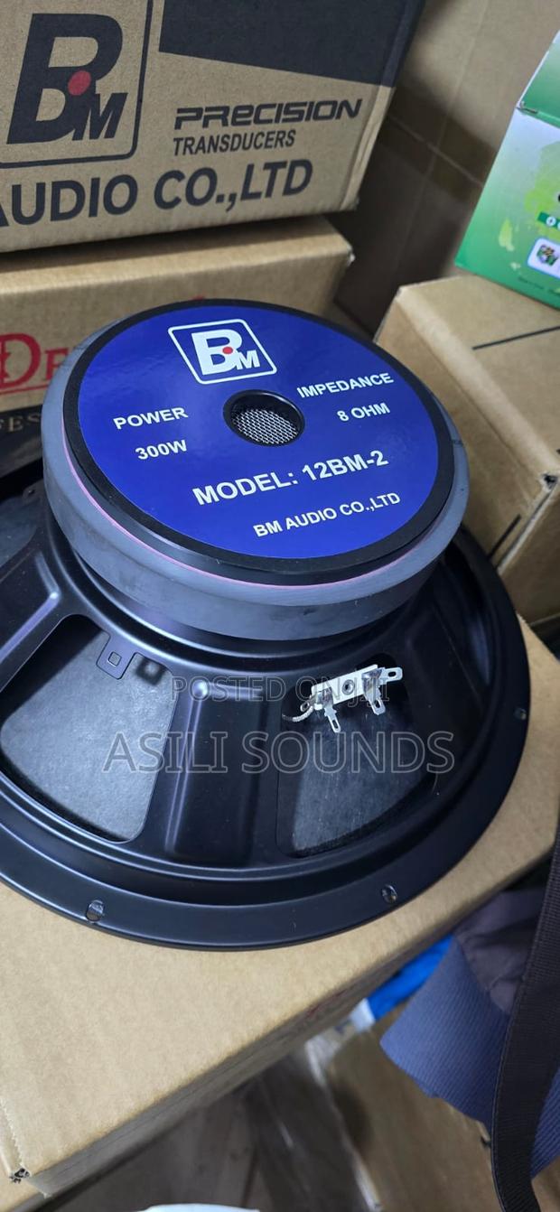 Bm 12 Inch Speaker - main view