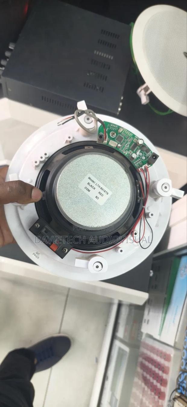 8 Inch, 8 Ohms Ceiling Speakers - thumbnail 2