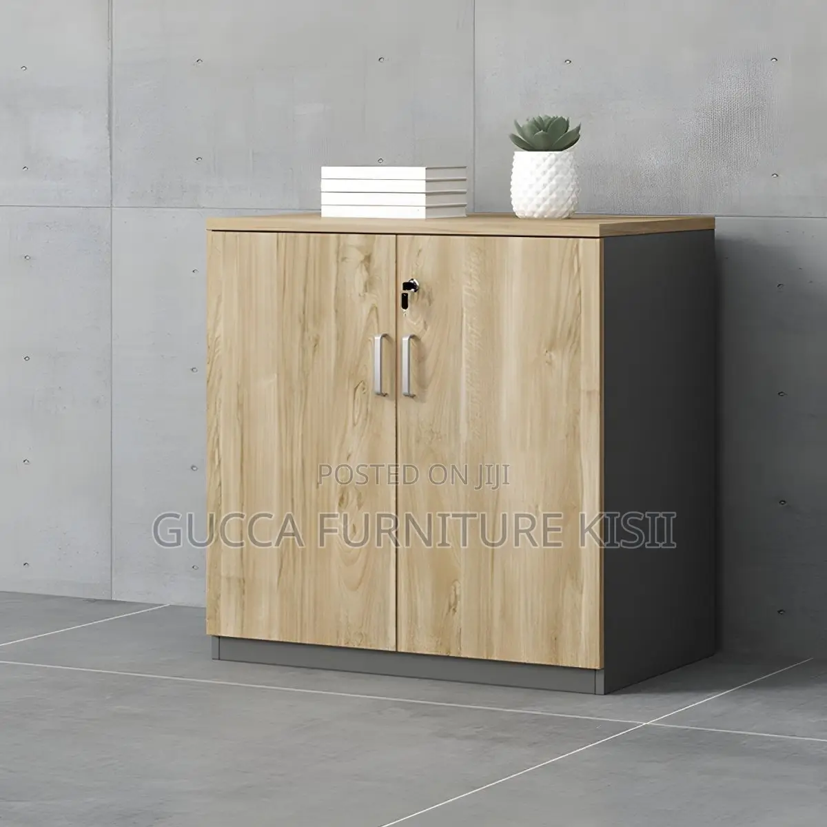Office Cabinet; 2-Door Credenza Office Cabinet