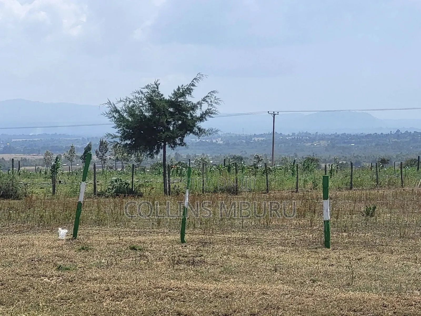 Solio Plots