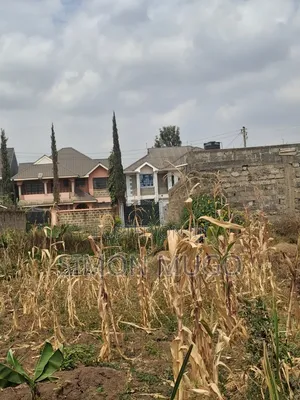 Membly Park Estate 40x80 Off Kisima Jacarada Ready Title