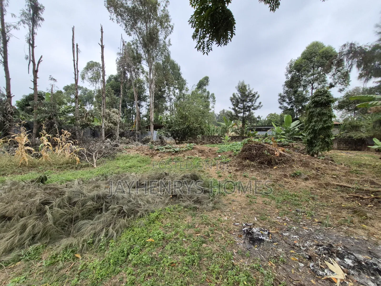 1/4 Acre Plot for Sale in Thome Estate at KSHS 20,000,000