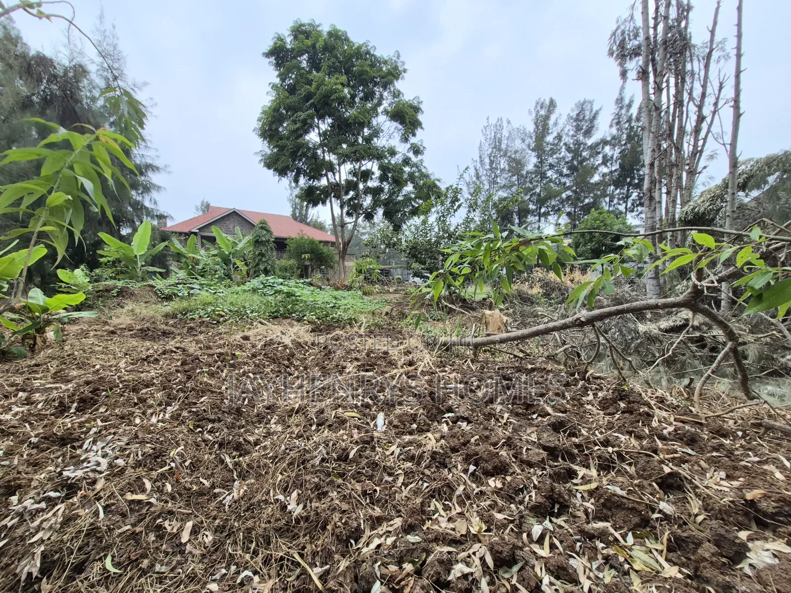 1/4 Acre Plot for Sale in Thome Estate at KSHS 20,000,000
