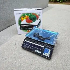 Professional ACS 40 Up to 40 Kilograms Electronic Weighing Scale