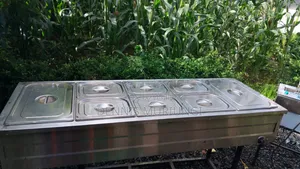 Food Warmer