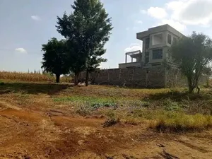Ruiru Mugutha Prime 1/8 Plot Overlooking Dykio Bustani Ready Title 4m
