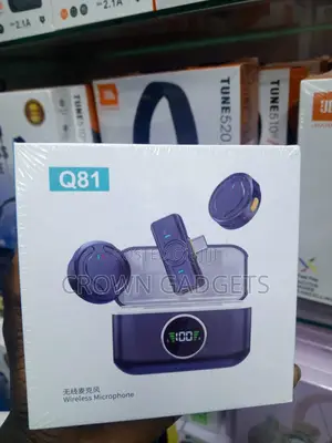 Q81 Portable Wireless Lavalier Mic With Digital Charging Case