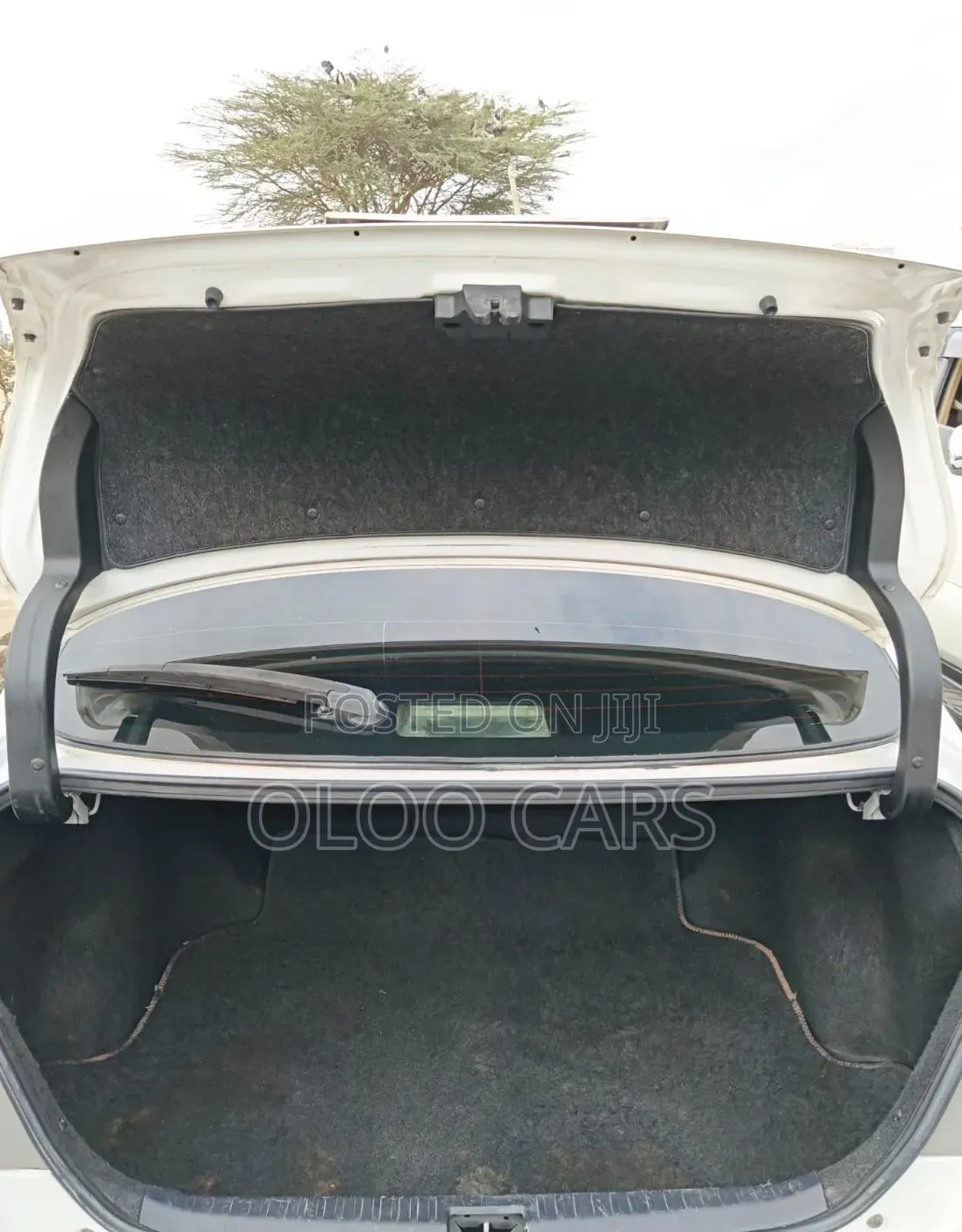 Toyota Premio 2014 White