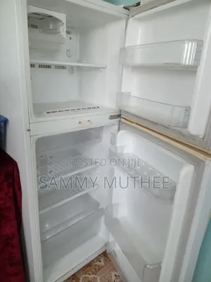 Samsung No-Frost Double Door Refrigerator RT25SK (Clean Condition)