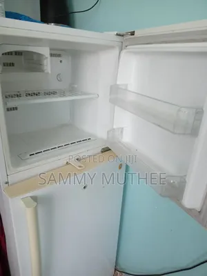 Samsung No-Frost Double Door Refrigerator RT25SK (Clean Condition)