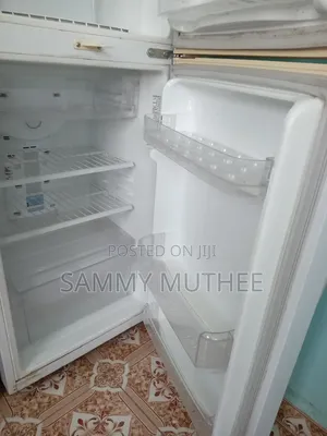 Samsung No-Frost Double Door Refrigerator RT25SK (Clean Condition)