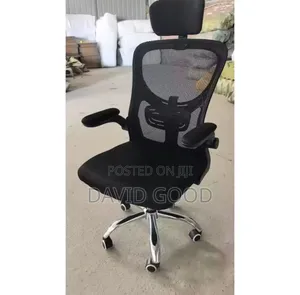Engnomic Office Chair