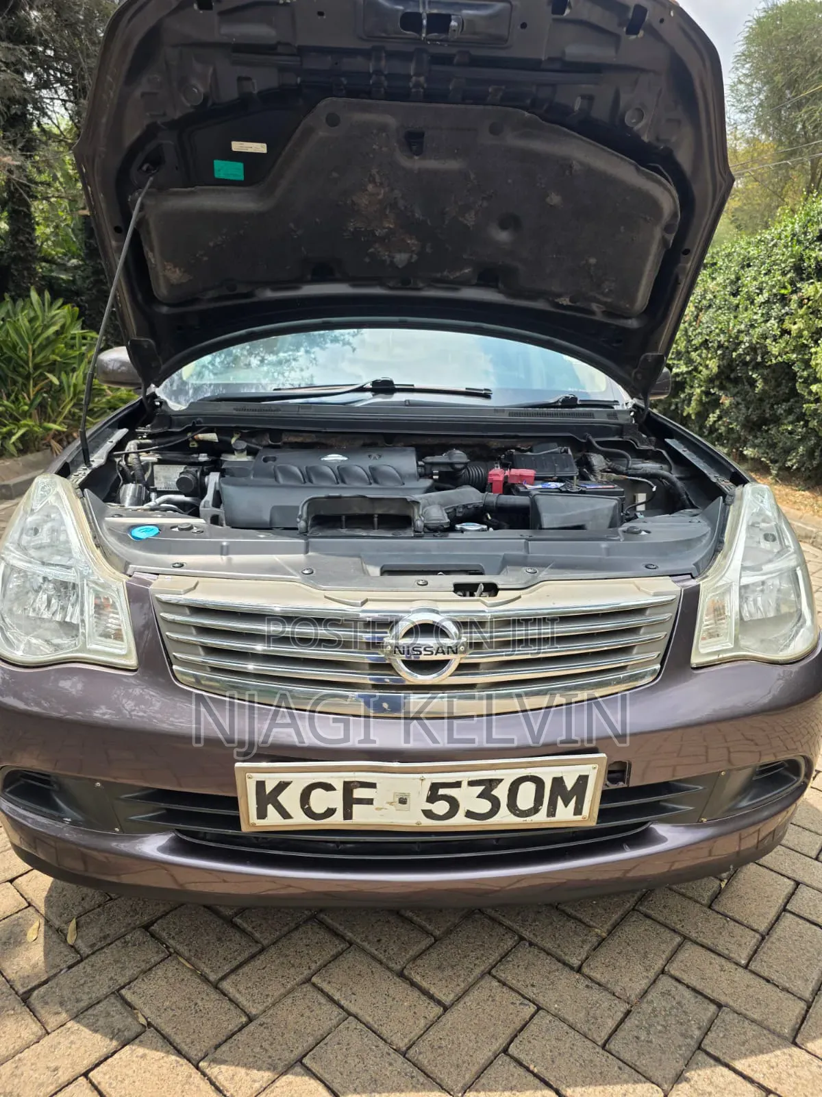 Nissan Sylphy 2010 Brown
