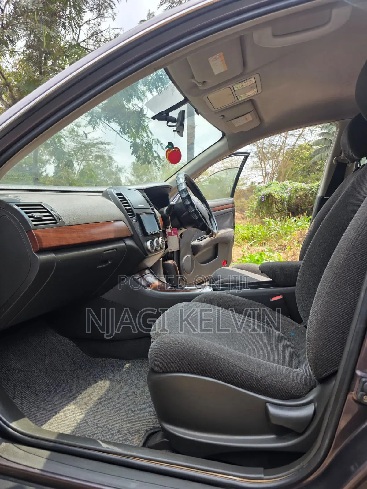 Nissan Sylphy 2010 Brown
