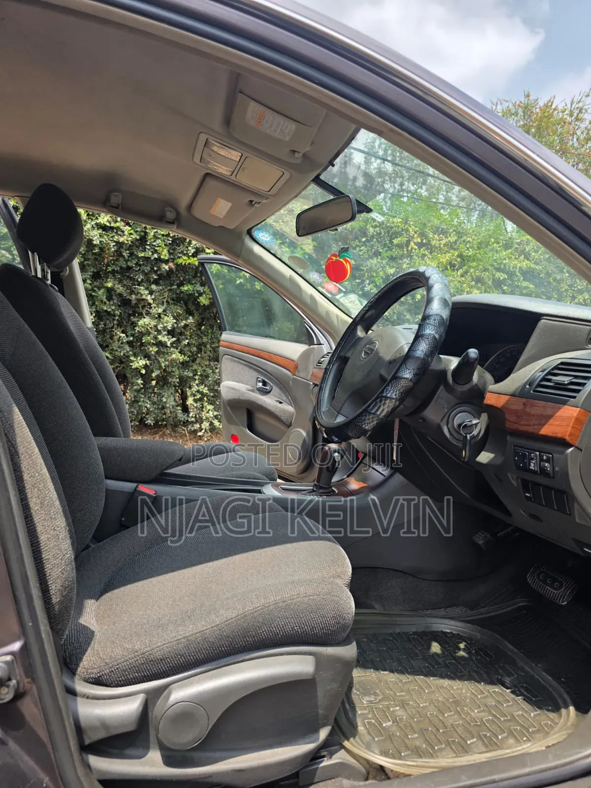 Nissan Sylphy 2010 Brown