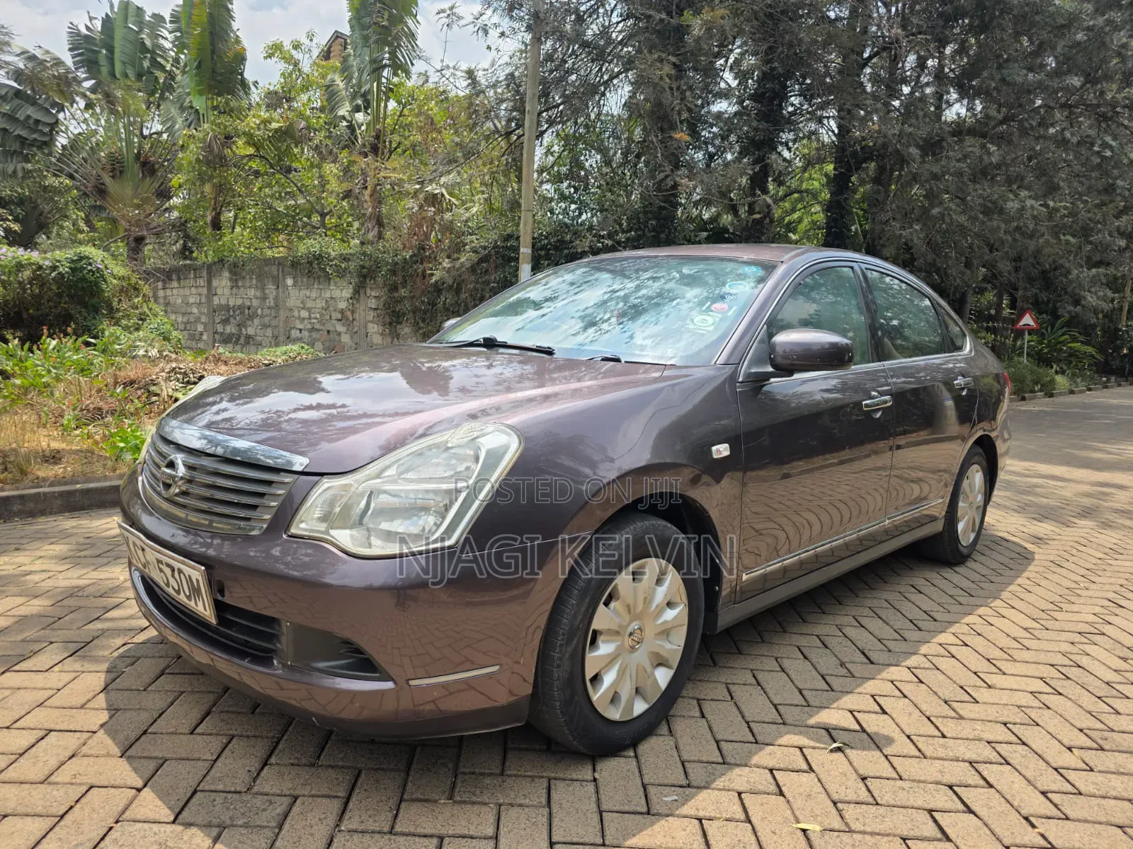 Nissan Sylphy 2010 Brown