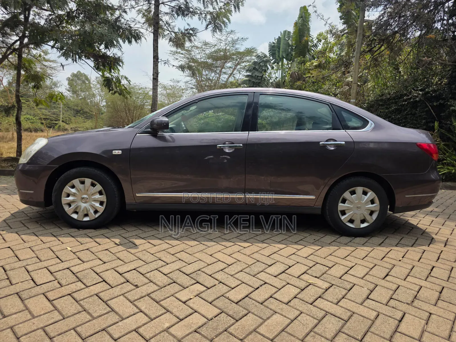 Nissan Sylphy 2010 Brown