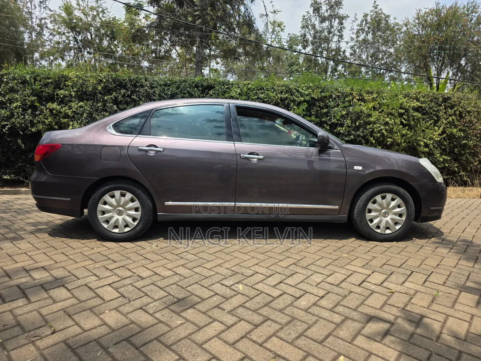 Nissan Sylphy 2010 Brown