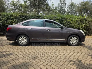 Nissan Sylphy 2010 Brown