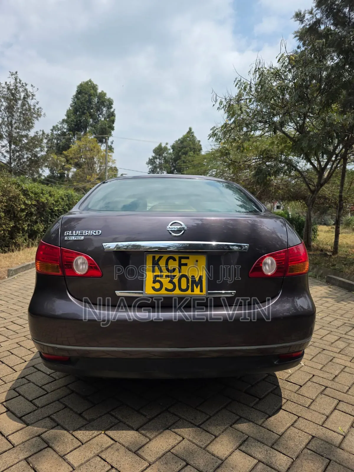 Nissan Sylphy 2010 Brown