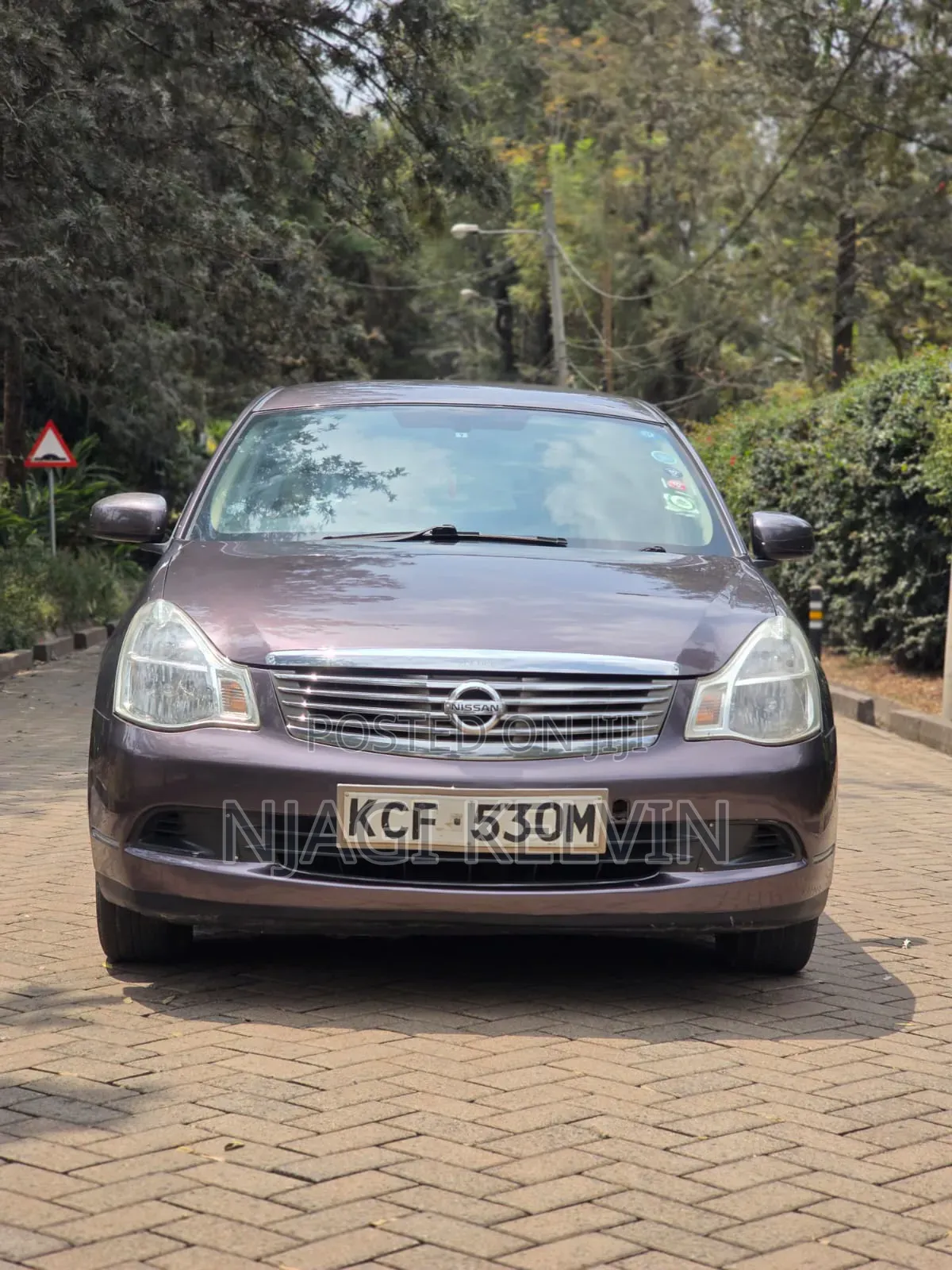 Nissan Sylphy 2010 Brown