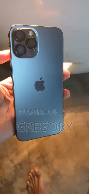 Apple iPhone 12 Pro Max 128 GB Gray