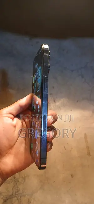 Apple iPhone 12 Pro Max 128 GB Gray