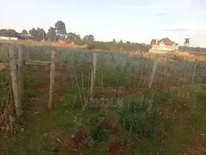 Plot for Sell