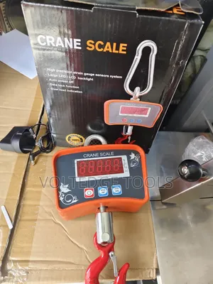 500kg Digital Crane Scale
