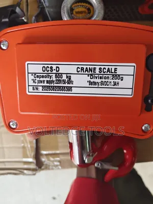 500kg Digital Crane Scale
