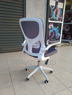 Executive Office Chair