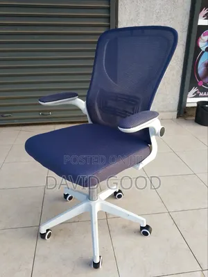 Executive Office Chair
