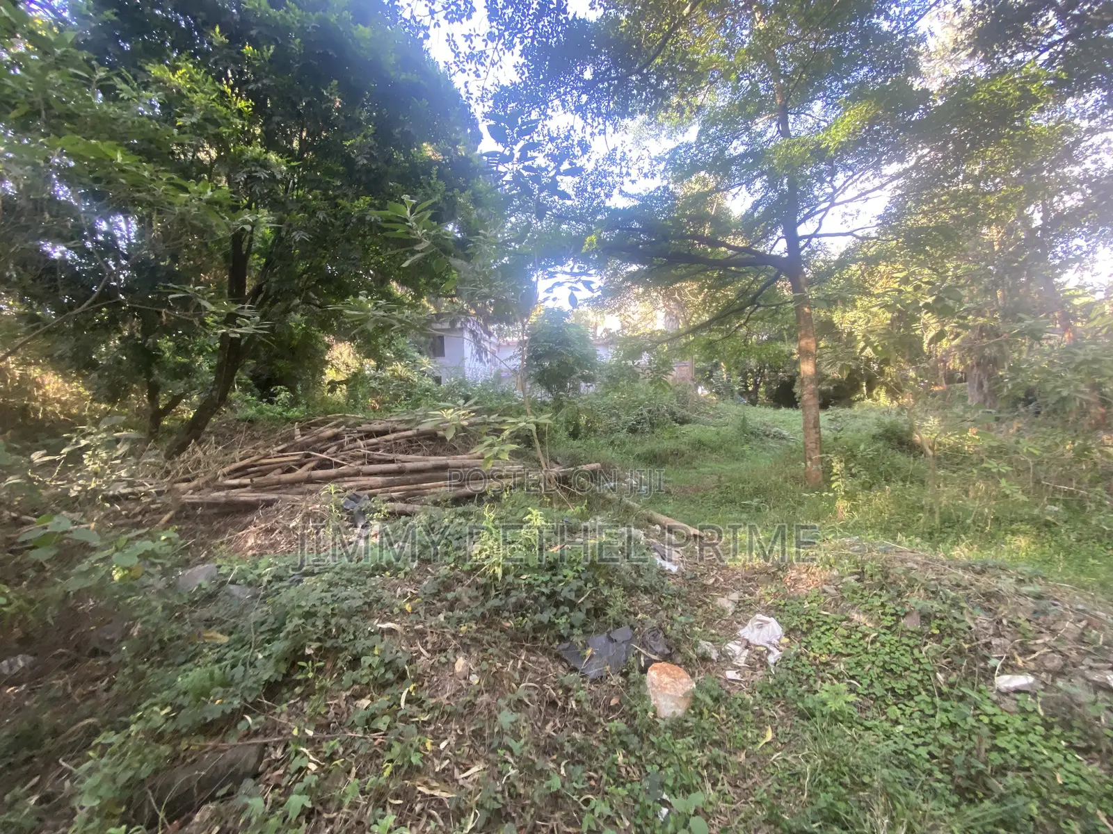 3bdrm Bungalow in Kitisuru for sale