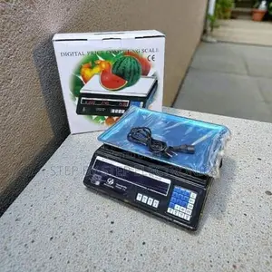 Price Setting ACS 40 Up to 40 Kilograms Price Computing Weighing Scale