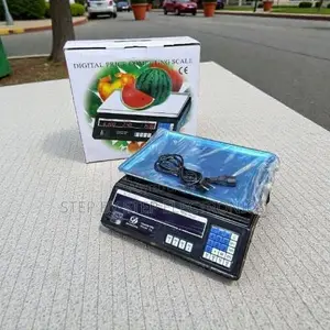 Easy Weighing ACS 40 Up to 40 Kilograms Price Computing Weighing Scale