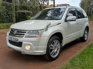 Suzuki Escudo 2009 White