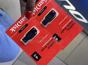 4GB Sandisk Flashdisk