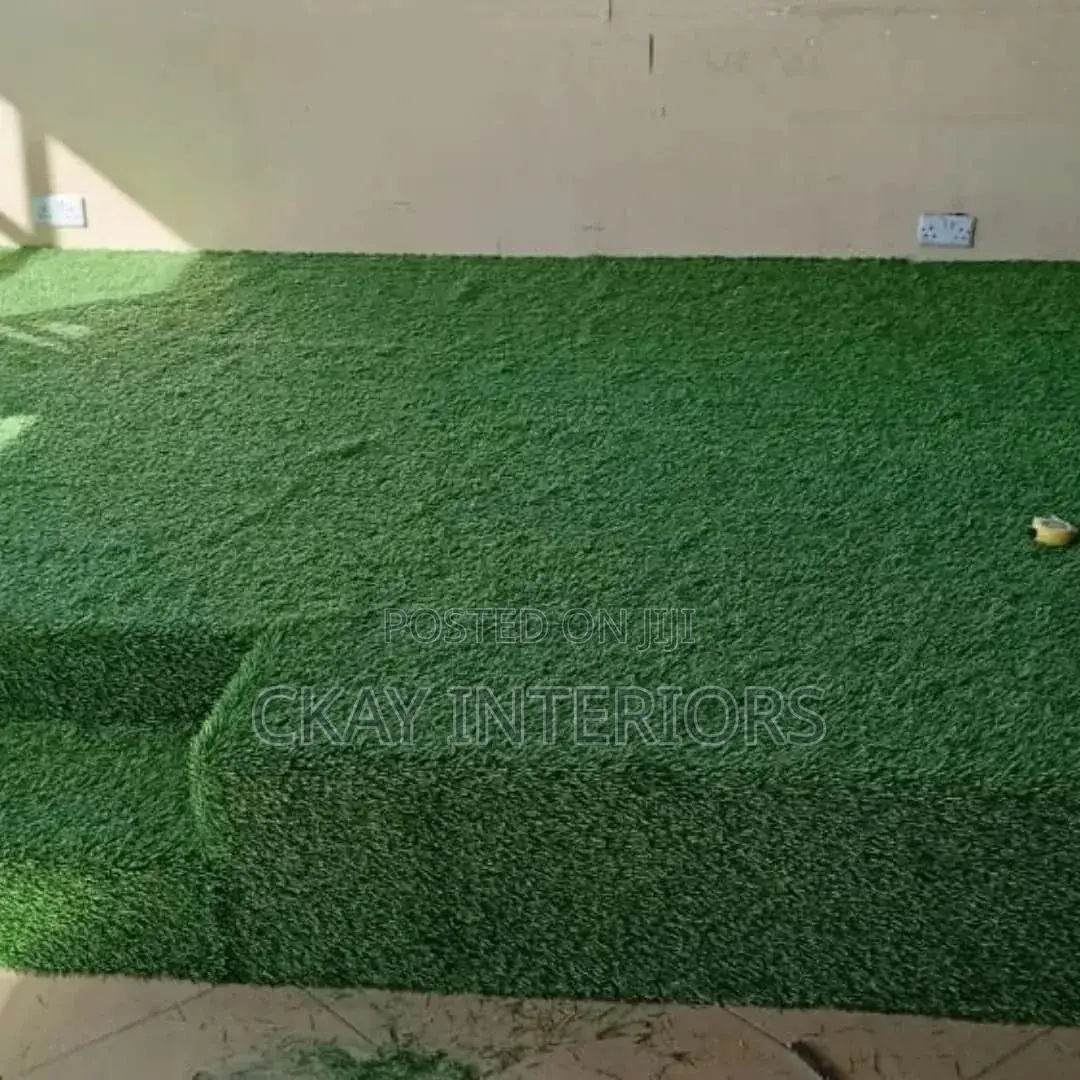 Turn Dull Spaces Into Vibrant Green Areas With Grass